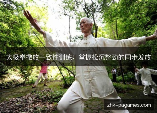 太极拳撒放一致性训练：掌握松沉整劲的同步发放